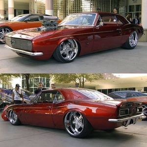 Meet your Posher, Dalton